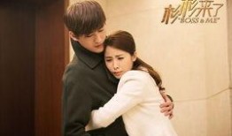 电视剧杉杉来了在线观看,甜蜜爱情与职场奋斗的完美交织